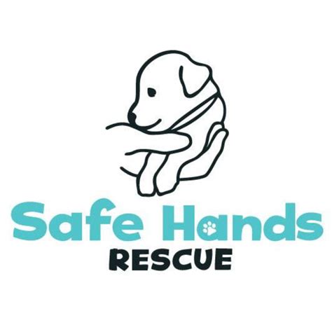 Safe hands animal rescue. Things To Know About Safe hands animal rescue. 