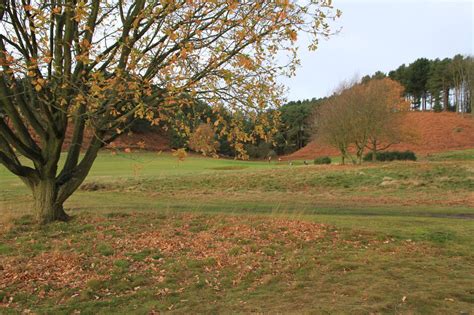 Safeguarding :: Notts Ladies Golf Club, Nottingham