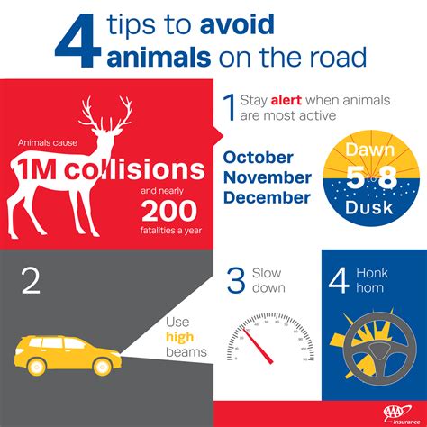 Safety Tips for Avoiding Collisions With Animals