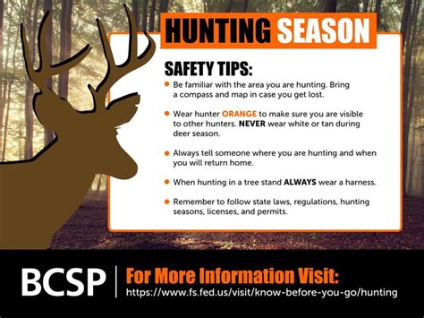 Safety tips for non-hunters during Missouri deer season