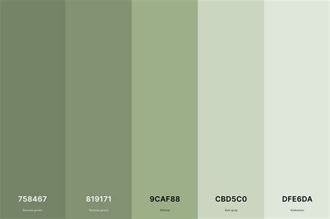 Sage Green Color - HEX #887766 Meaning and Live Previews