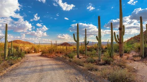 Feb 10, 2024 · Saguaro National Park is uniquely situated around the 500 square miles that make up Tucson, AZ, which is at the heart of the Sonoran desert. Sitting at just under 2,400 feet above sea level, Tucson is 60 miles north of the U.S. Mexican border and about 100 miles south of the state capital, Phoenix. Its two districts are separated by the city's ... . 
