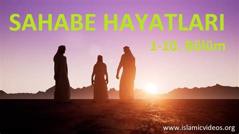 Sahabe Halı ve Koltuk Yıkama