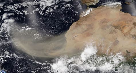 Saharan dust in Texas: Will it come in this year and when?