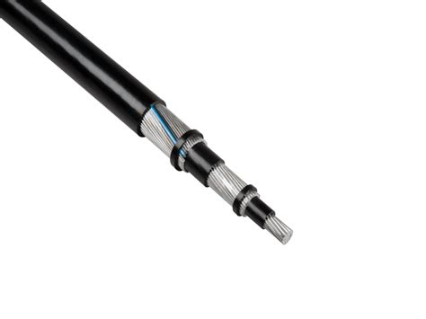 veodersti.rgarabwor.edu.pl. 