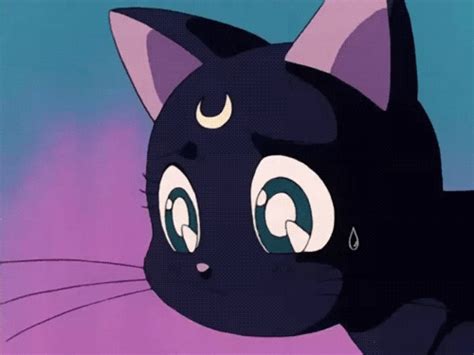Sailor moon luna gif. Luna From Sailor Moon (1992-1997) An advisor to Queen Serenity and sidekick to Usagi, Luna from Sailor Moon is another fantastic example of a well-rounded and iconic black cat in television. Luna witnesses the invasion of the Moon Kingdom by the Dark Kingdom and is tasked with finding the Sailor Moon princesses on Earth to reform … 