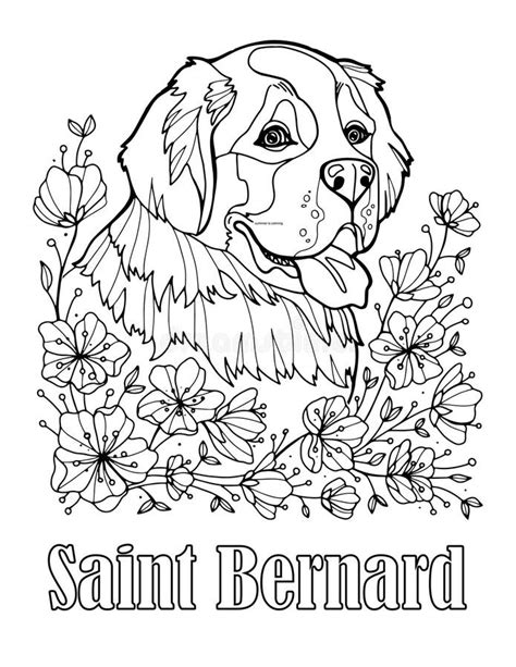Saint Bernard Coloring Pages