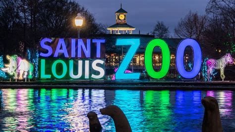 Saint Louis Zoo's extended hours, summer events start Friday