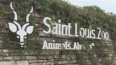 Saint Louis Zoo named 8th best US zoo in national poll