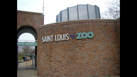 Saint Louis Zoo ranks among the best in the US
