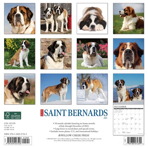Saint bernards 2008 square wall calendar. - God a biography by jack miles.