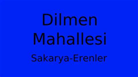 Sakarya Erenler Dilmen Mahallesi terapi halı yıkama