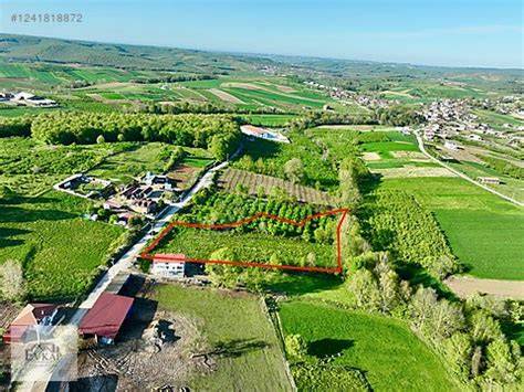 Sakarya Ferizli En Yakin terapi halı yıkama
