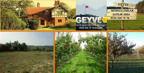 Sakarya Geyve Ceceler Mahallesi terapi halı yıkama