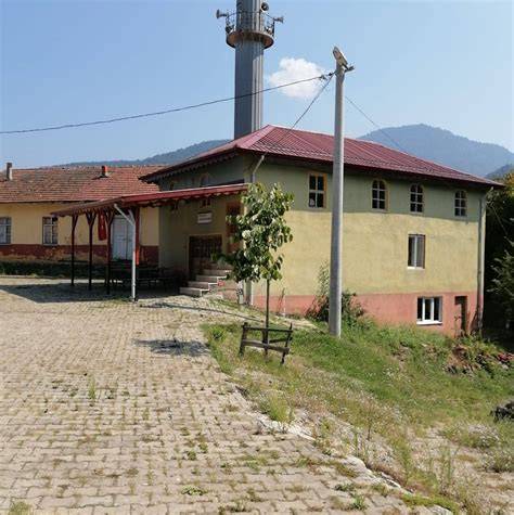 Sakarya Hendek Hamitli Mahallesi terapi halı yıkama