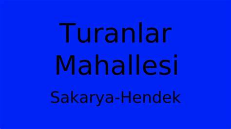 Sakarya Hendek Turanlar Mahallesi terapi halı yıkama