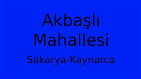 Sakarya Kaynarca Akbasli Mahallesi terapi halı yıkama