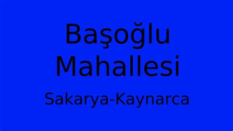 Sakarya Kaynarca Basoglu Mahallesi terapi halı yıkama