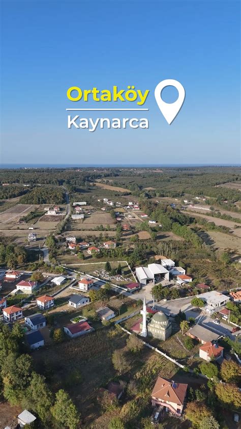 Sakarya Kaynarca Cebek Mahallesi terapi halı yıkama
