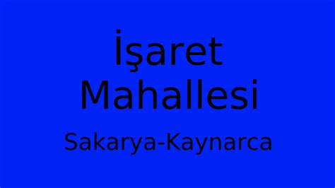 Sakarya Kaynarca Isaret Mahallesi terapi halı yıkama