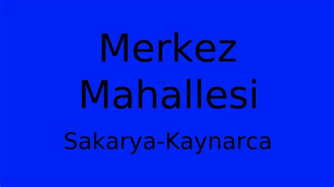 Sakarya Kaynarca Merkez Mahallesi terapi halı yıkama
