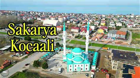 Sakarya Kocaali terapi halı yıkama