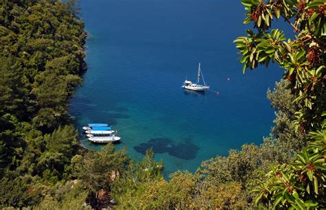 Sakin Halı ve Koltuk Yıkama