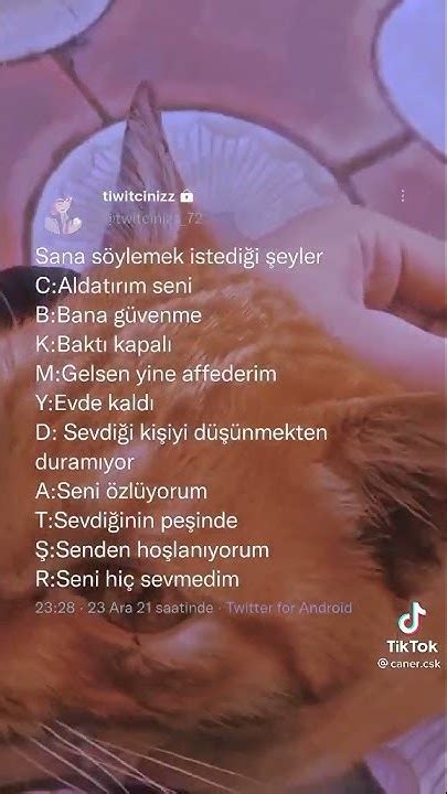 Saklı 10 arzu: Her kadının sana söylemek istediği şeyler.