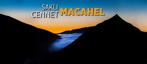 codini.rgarabwor.edu.pl. 