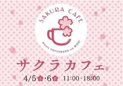 codini.rgarabwor.edu.pl. 