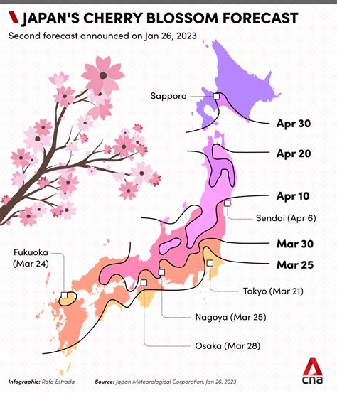 💦 Sakura_2023 Leaks +18
