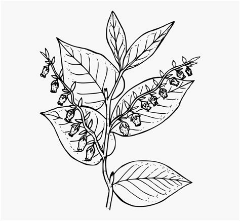 Printable Coloring Pages For Teenagers