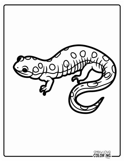 Salamander Coloring Page