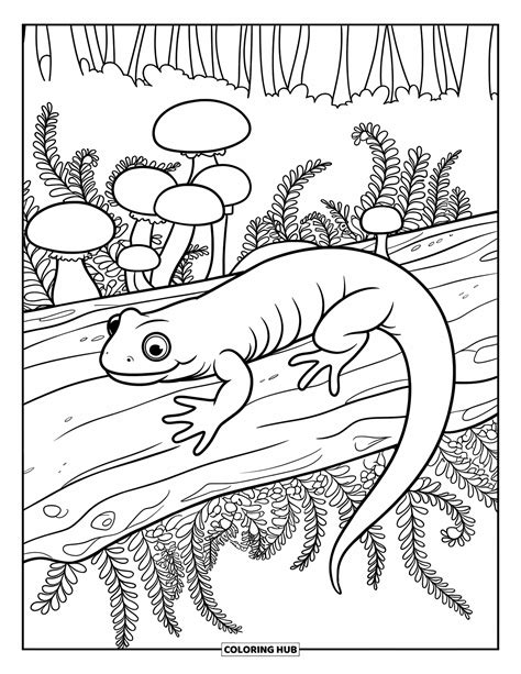 Salamander Coloring Shee