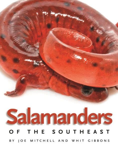 Read Salamanders Of The Southeast By Joe Mitchell