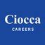 Salary: Ciocca Dealerships Finance & Accounting Glassdoor