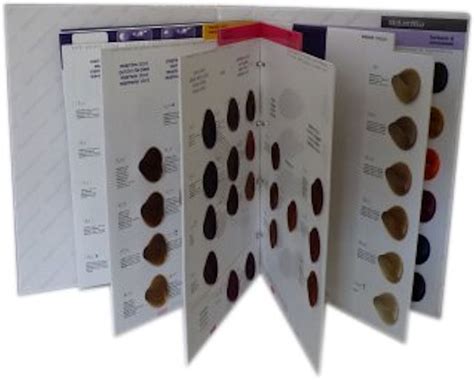 Salerm Vision Color Chart