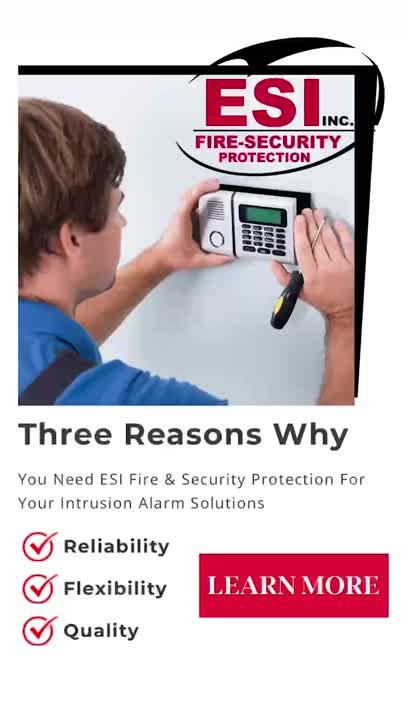 Sales Professional - ESI Fire & Security Protection