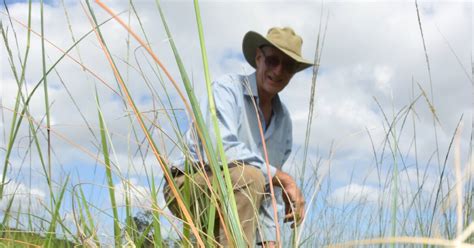 Sales suspended of natural weed control The Land NSW