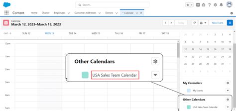 Salesforce Calendar Views in Salesforce Lightning Experience