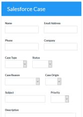 Salesforce Case Example Forms & Templates Formsite