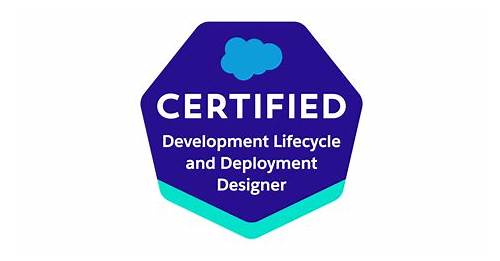 Development-Lifecycle-and-Deployment-Architect Probesfragen