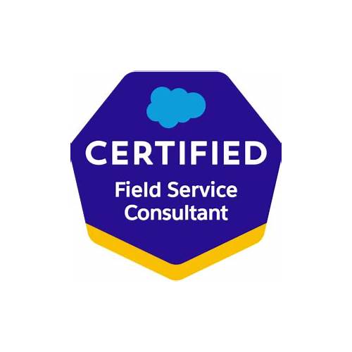 th?w=500&q=Salesforce%20Certified%20Field%20Service%20Lightning%20Consultant