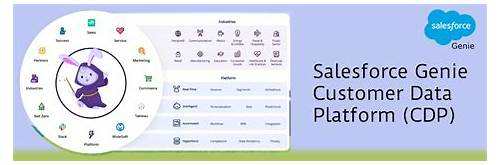 Salesforce Customer-Data-Platform Valid Test Format & Customer-Data-Platform Latest Dumps Files