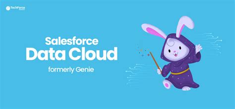 Salesforce data cloud. If you have Data Cloud for Marketing, a typical use case is creating marketing campaigns using the segmentation and activation features. You can use calculated insights that you generate in Data Cloud to build segments, and you can produce personalized engagements with customers. 