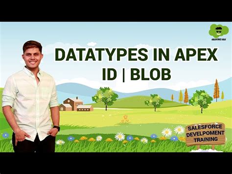 Salesforce id data type.  It is a collection of binary data stored as a single enti...