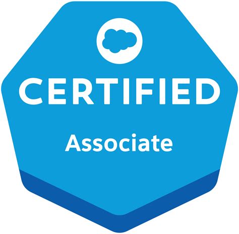 Salesforce-AI-Associate Zertifizierung