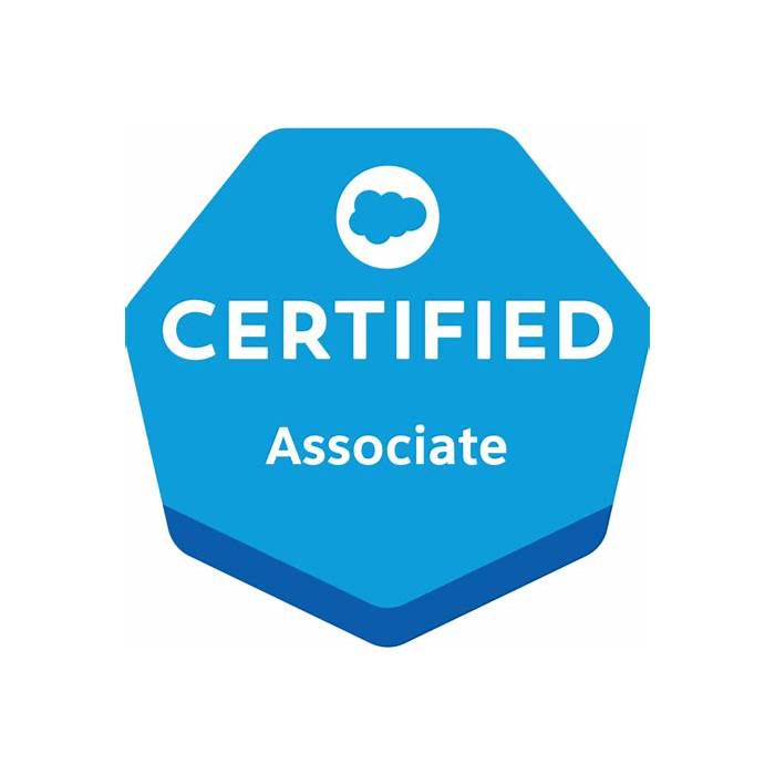 Salesforce-Associate High Quality