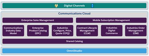 Salesforce-Communications-Cloud Online Praxisprüfung