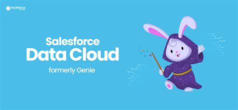 Salesforce-Data-Cloud Online Test